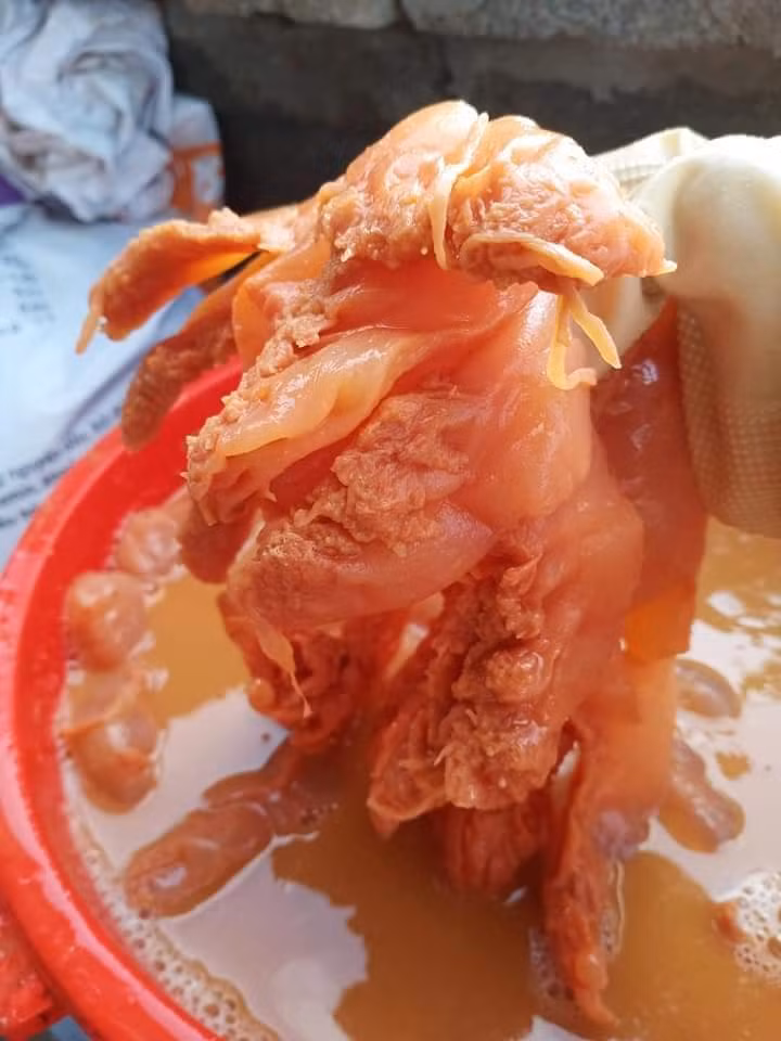 Chị Giang (Cầu Giấy, Hà Nội) chia sẻ, cả nhà đều thích ăn món sứa muối quả vẹt này. Sứa ăn giòn, mát. Vẹt đánh đi mùi tanh của sứa và tạo độ chua, màu đỏ bắt mắt.