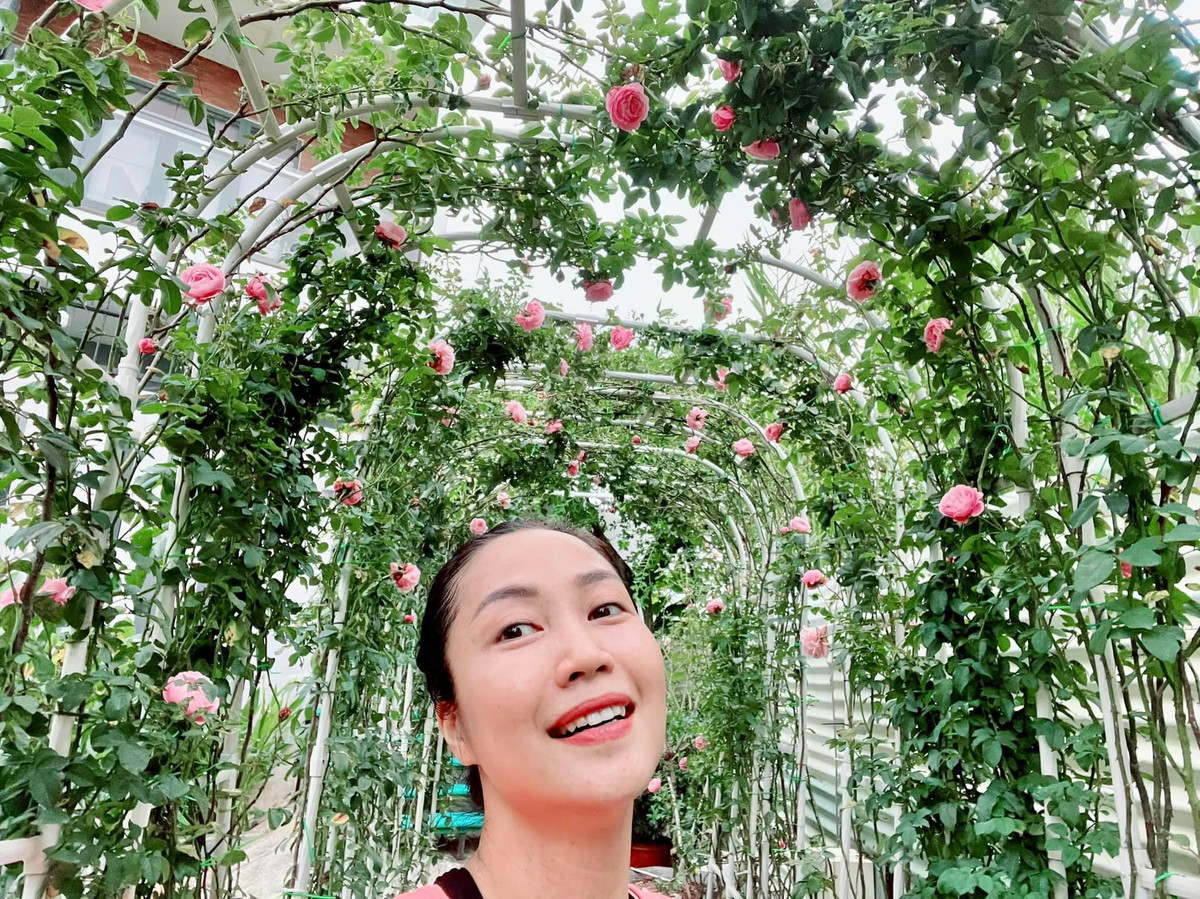 Ốc Thanh Vân đặc biệt ưa thích mùi thơm của các giống hoa hồng ngoại nên đã tận dụng khoảng đất trống ở trước nhà để trồng.