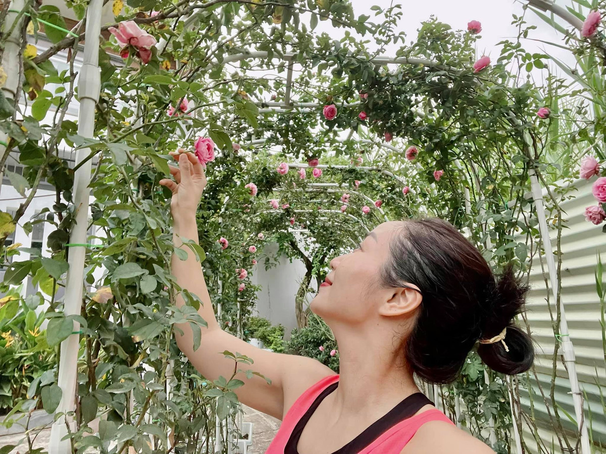 Nhìn vòm hoa hồng như vườn cổ tích của Ốc Thanh Vân ai nấy đểu không ngớt lời khen ngợi.