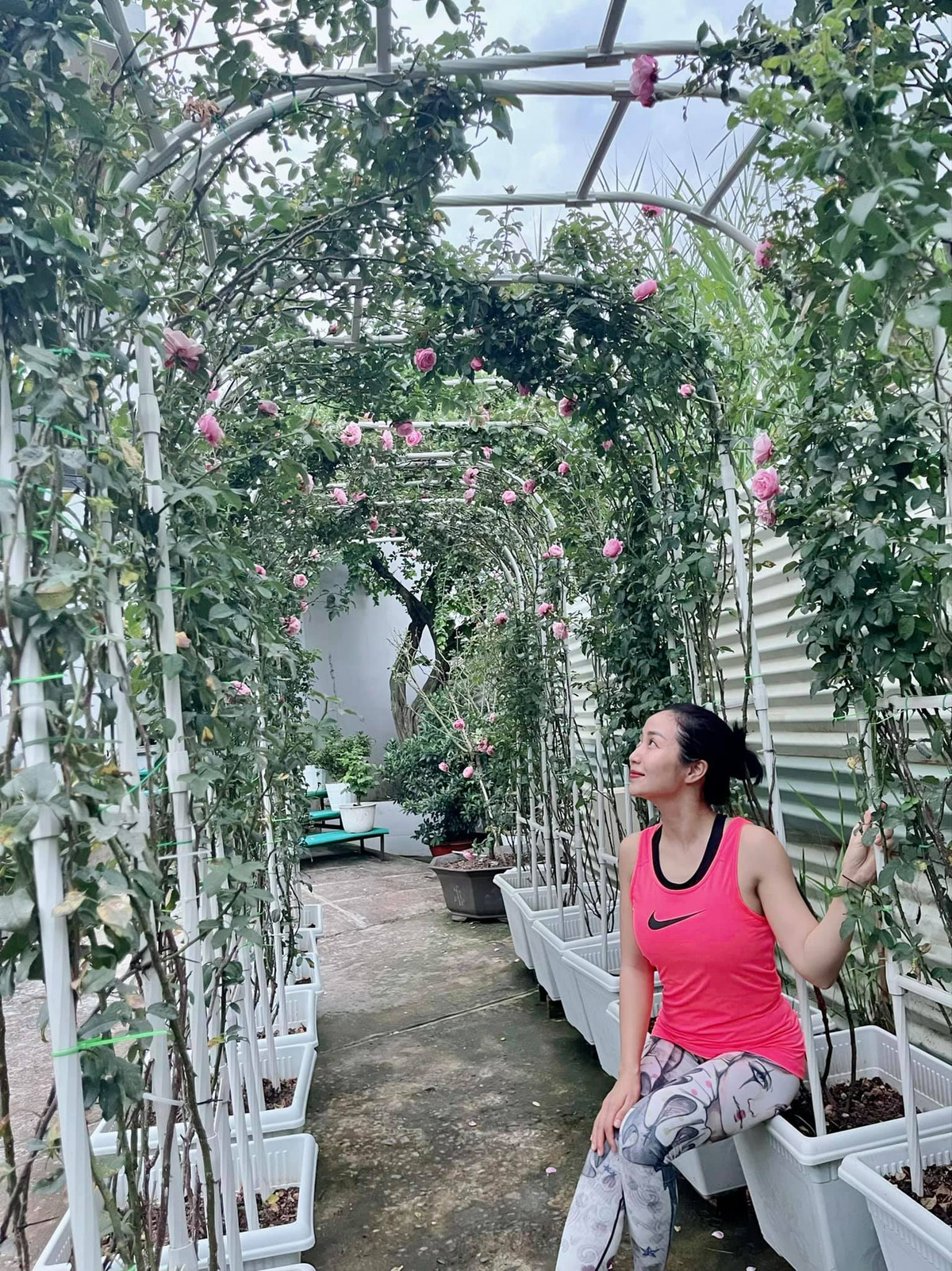 Nữ diễn viên còn đầu tư làm giàn để cây leo theo hình mái vòm và khi hoa nở trông sẽ bắt mắt, hoành tráng hơn.