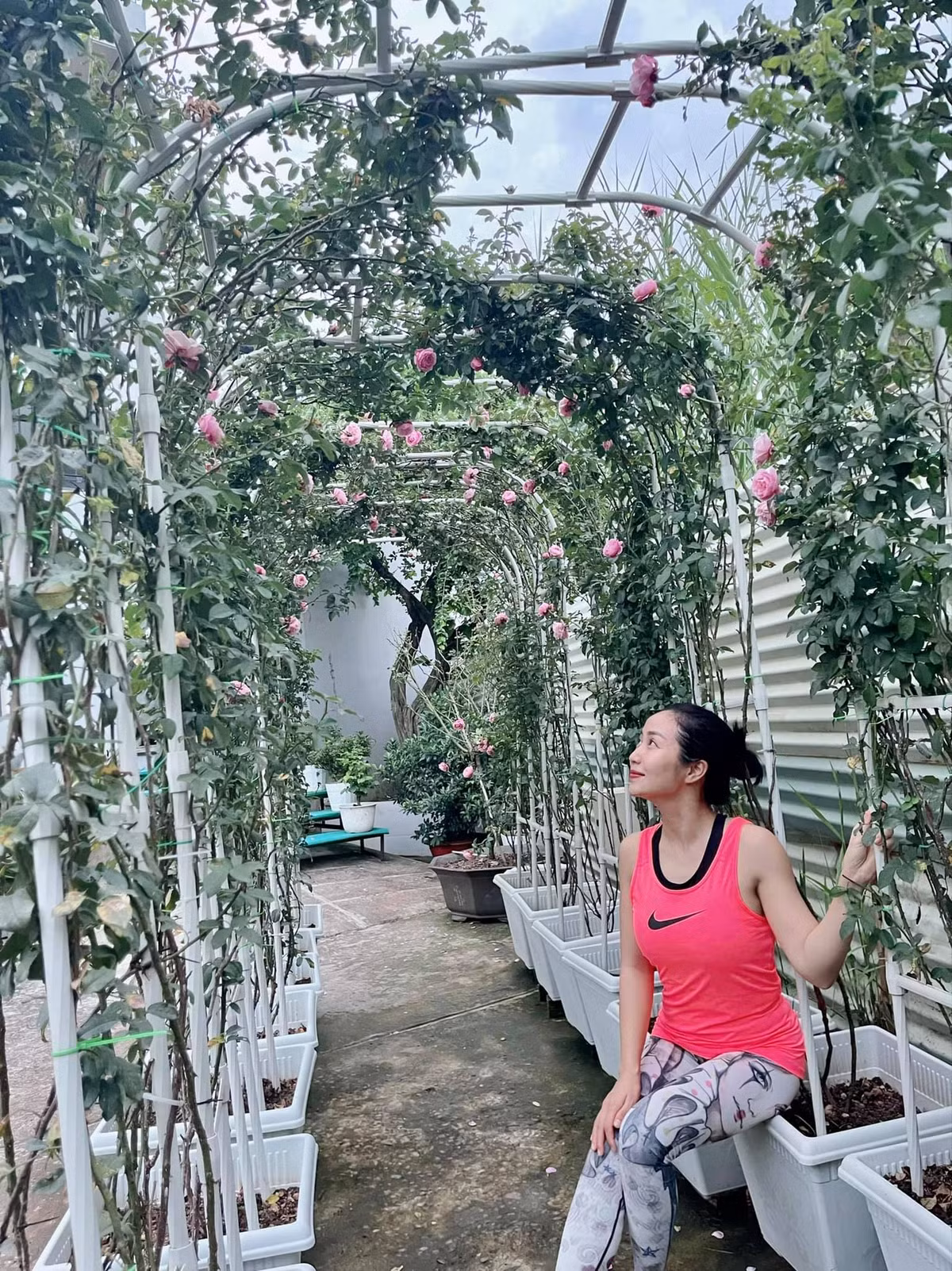 Nữ diễn viên còn đầu tư làm giàn để cây leo theo hình mái vòm và khi hoa nở trông sẽ bắt mắt, hoành tráng hơn.