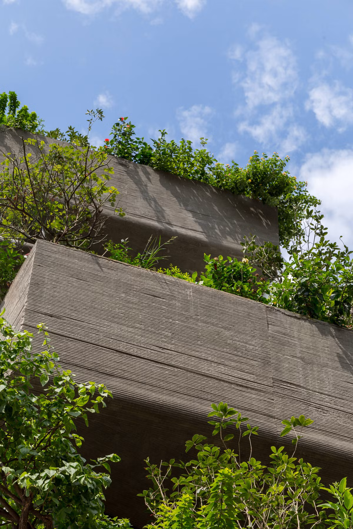 Những bồn cây bằng bê tông hình khối vát ngược chính là lớp cách nhiệt, ngăn khói bụi giúp không gian sống ở bên trong mát mẻ và trong lành hơn. Ảnh: Hoang Le.