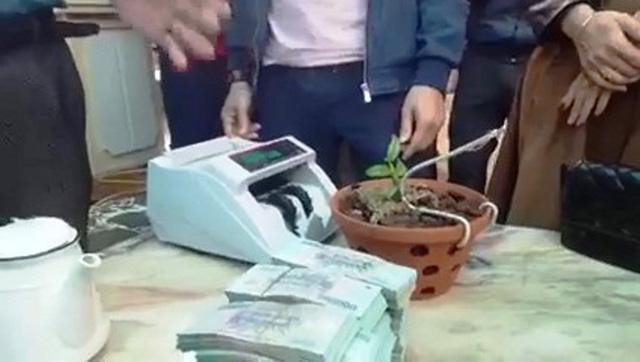 Xon xao lan Hong Bong Lai duoc ban voi gia hon 1,6 ty dong