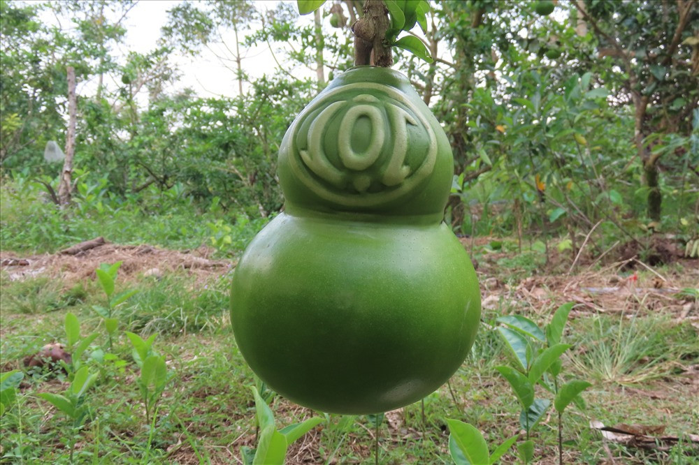 Trái đào có một bên chữ Lộc, một bên là chữ Tài nên khách hàng có thể trưng một quả hoặc cặp đều được. Ảnh: Lao động.