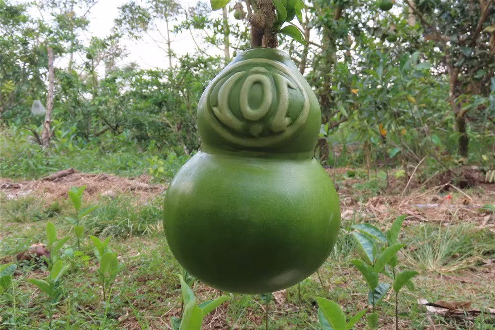 Trái đào có một bên chữ Lộc, một bên là chữ Tài nên khách hàng có thể trưng một quả hoặc cặp đều được. Ảnh: Lao động.