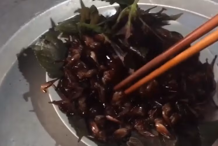 Tôm rừng thường được chế biến làm món nhậu bằng cách rang với lá gừng, lá chanh hoặc lá lốt, lá mắc mật. Ảnh: Tiem Gold TV