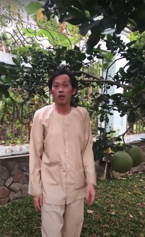 Cây bưởi cũng sai quả.