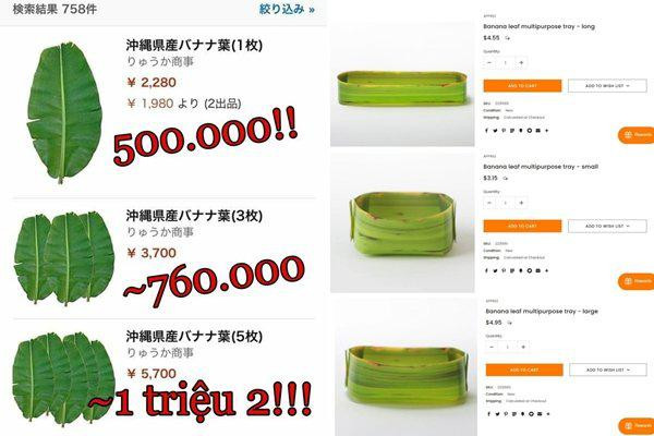 Ngoài ra, khách hàng có thể mua theo set cho rẻ. Cụ thể, set 3 khay lá chuối dài có giá 9 USD, set 3 khay tròn lớn có giá 10 USD, set 3 khay tròn nhỏ là 5 USD và set tổng hợp 9 khay các loại có giá 25 USD, tương đương hơn 570.000 đồng.