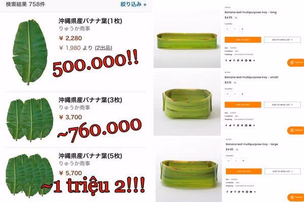 Ngoài ra, khách hàng có thể mua theo set cho rẻ. Cụ thể, set 3 khay lá chuối dài có giá 9 USD, set 3 khay tròn lớn có giá 10 USD, set 3 khay tròn nhỏ là 5 USD và set tổng hợp 9 khay các loại có giá 25 USD, tương đương hơn 570.000 đồng.