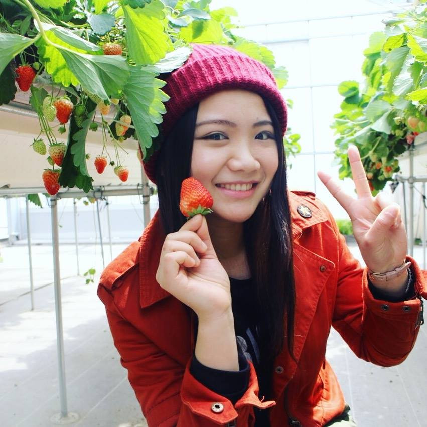 Nông trại trồng dâu tây ở đây cũng thu hút hàng nghìn du khách tới đây mỗi năm, để mua những trái dâu tươi ngon nhất, cũng như tìm hiểu kỹ thuật trồng dâu công nghệ cao này. Ảnh: Tohoku Tourism