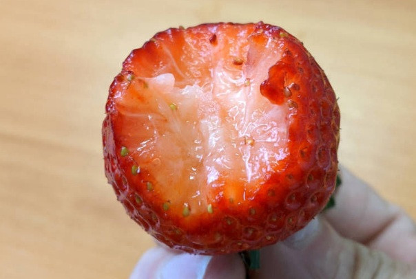 Dâu có vị ngọt đậm, không quá cứng cũng không quá mềm. Ảnh: Livejapan