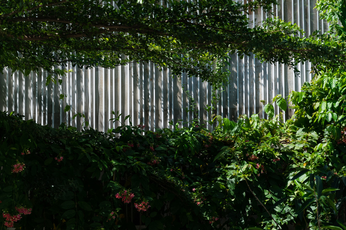 Được bao bọc bởi cây xanh tươi mát, ngôi nhà hướng Tây không giờ không còn sợ nắng.