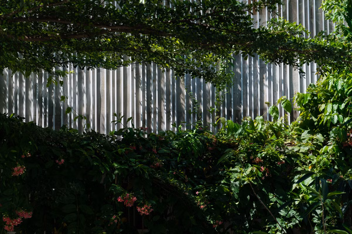 Được bao bọc bởi cây xanh tươi mát, ngôi nhà hướng Tây không giờ không còn sợ nắng.