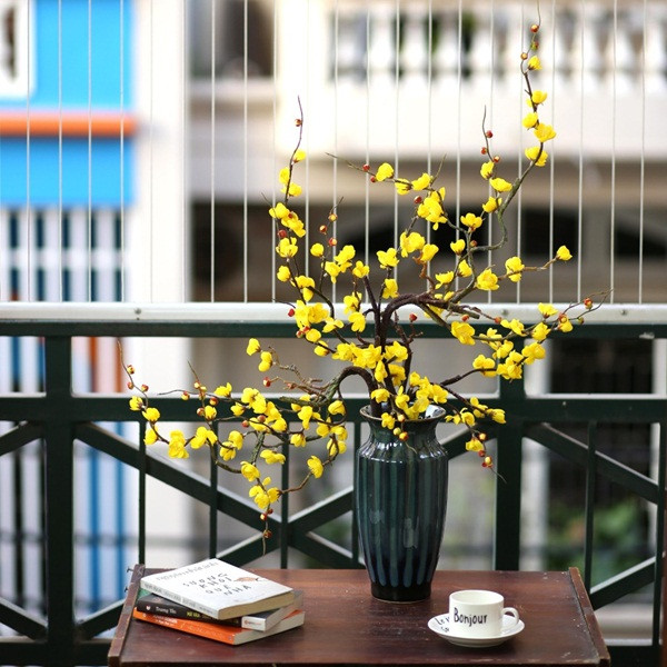 Những gia đình không có điều kiện thường chọn một cây mai nhỏ, hoặc thậm chí chỉ là những cành mai nhiều lộc để cắm lọ.