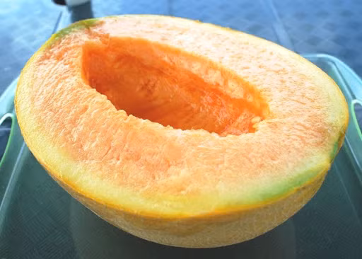 Dưa lưới Yubari Nhật Bản có giá đắt như vậy bởi người trồng chỉ chọn một quả đẹp và chất lượng nhất ở mỗi cây. Họ tưới nước thủ công bằng tay và theo dõi sát sao. Dưa có vị ngon ngọt tự nhiên, mọng nước và giòn, mát lạnh. Japan times