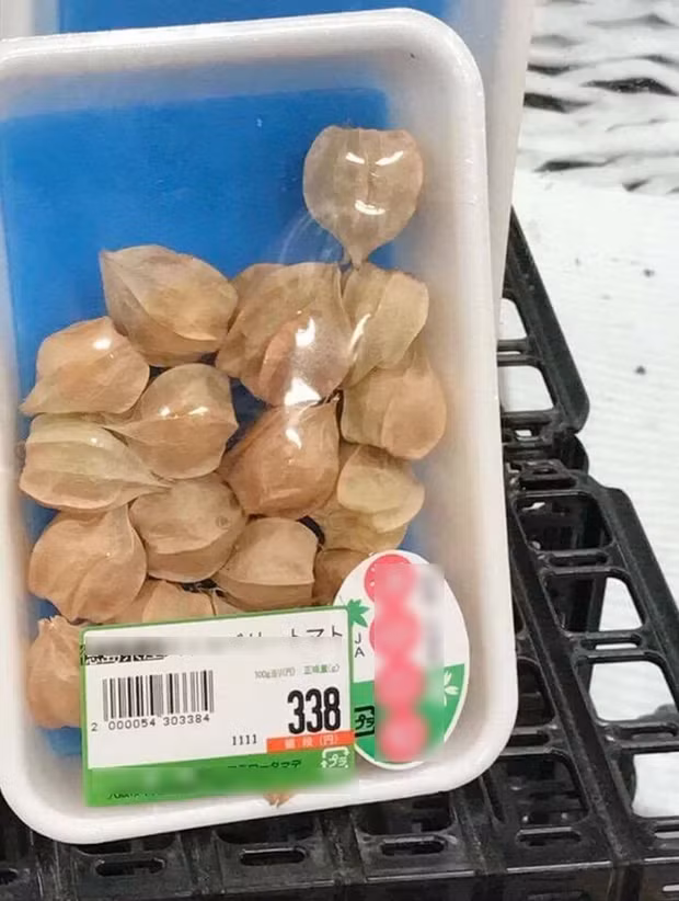 Quả tầm bóp mọc dại ở nhiều vùng nông thôn Việt Nam cũng được bán tại siêu thị Nhật với giá 70.000/100g. Ảnh: Facebook.