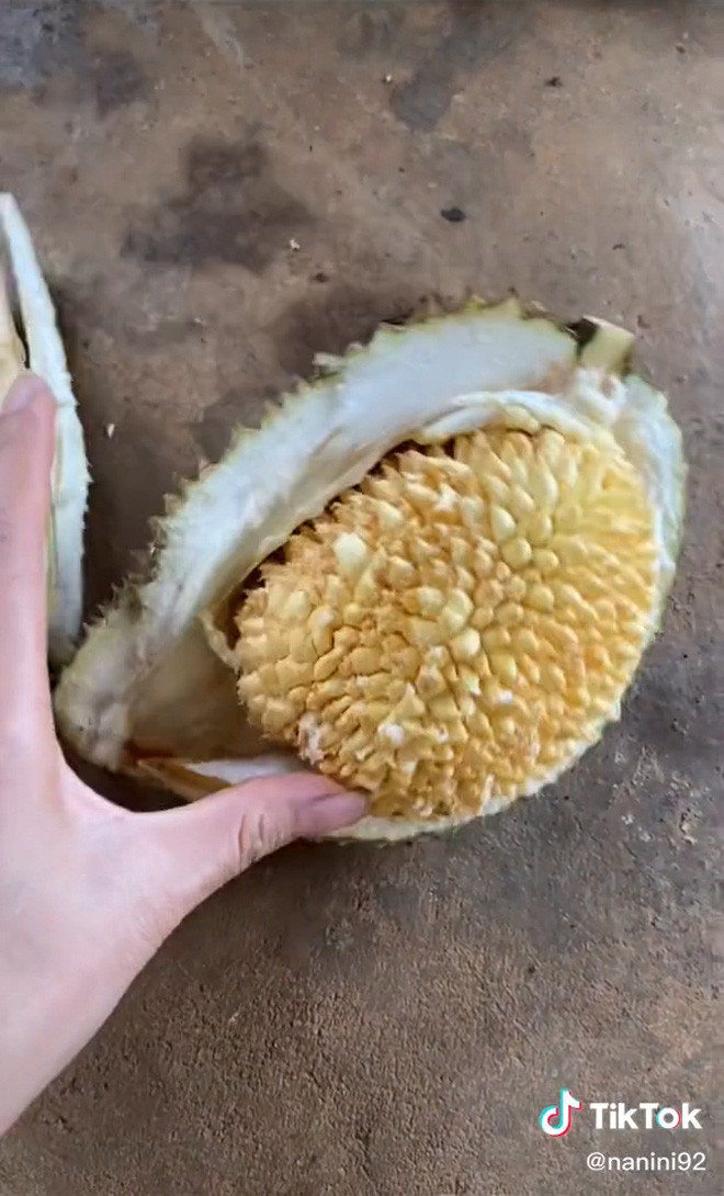 Tưởng mua được trái sầu riêng ngon, ai ngờ lại chẳng được múi nào…Nguồn ảnh: Tiktok