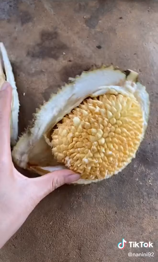 Tưởng mua được trái sầu riêng ngon, ai ngờ lại chẳng được múi nào…Nguồn ảnh: Tiktok