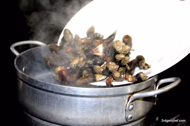 Ở Trung Quốc, giá ốc cổ ngỗng cũng vô cùng đắt đỏ, một con nhỏ thôi cũng có giá tới 900 nhân dân tệ (khoảng 3 triệu đồng). Dù vậy, vẫn có nhiều khách muốn mà chẳng mua được loại ốc này. Ảnh: 3rdgenchef.