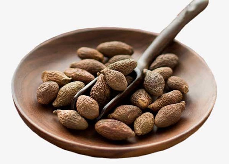 Theo người bán, loại cây này mọc tự nhiên ở các vùng rừng núi, mất khoảng 10 năm mới trưởng thành, ra hoa đậu trái. Ảnh: Thaoduocduyhung