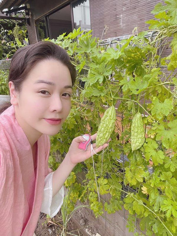 Vườn rau của nữ diễn viên trồng đủ loại như dọc mùng, diếp cá, mướp đắng...