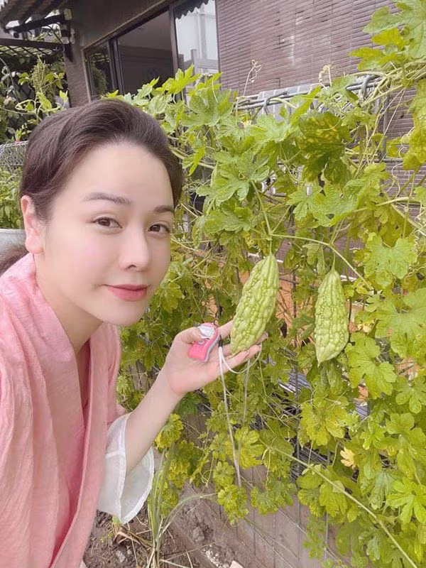 Vườn rau của nữ diễn viên trồng đủ loại như dọc mùng, diếp cá, mướp đắng...