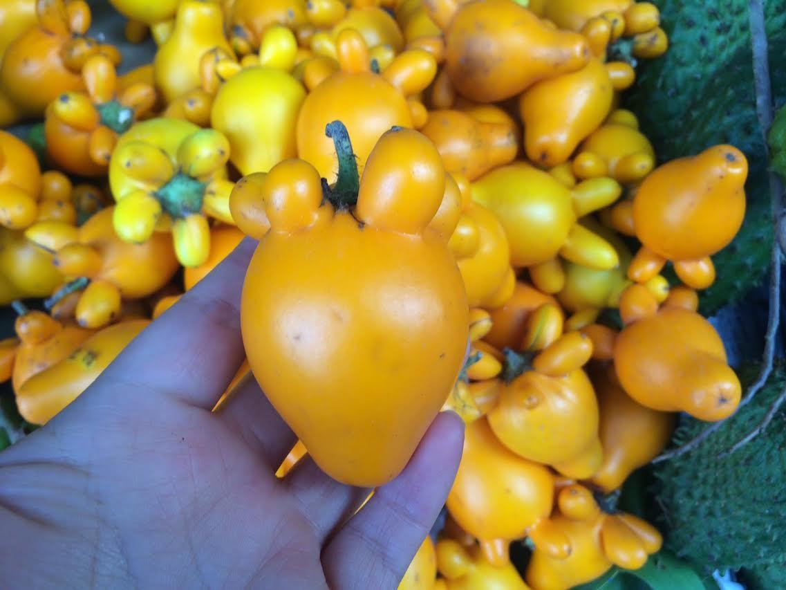 Trung bình, quả dư thừa có giá dao động từ 10.000 - 20.000 đồng/quả. Ảnh: Vietnamnet.