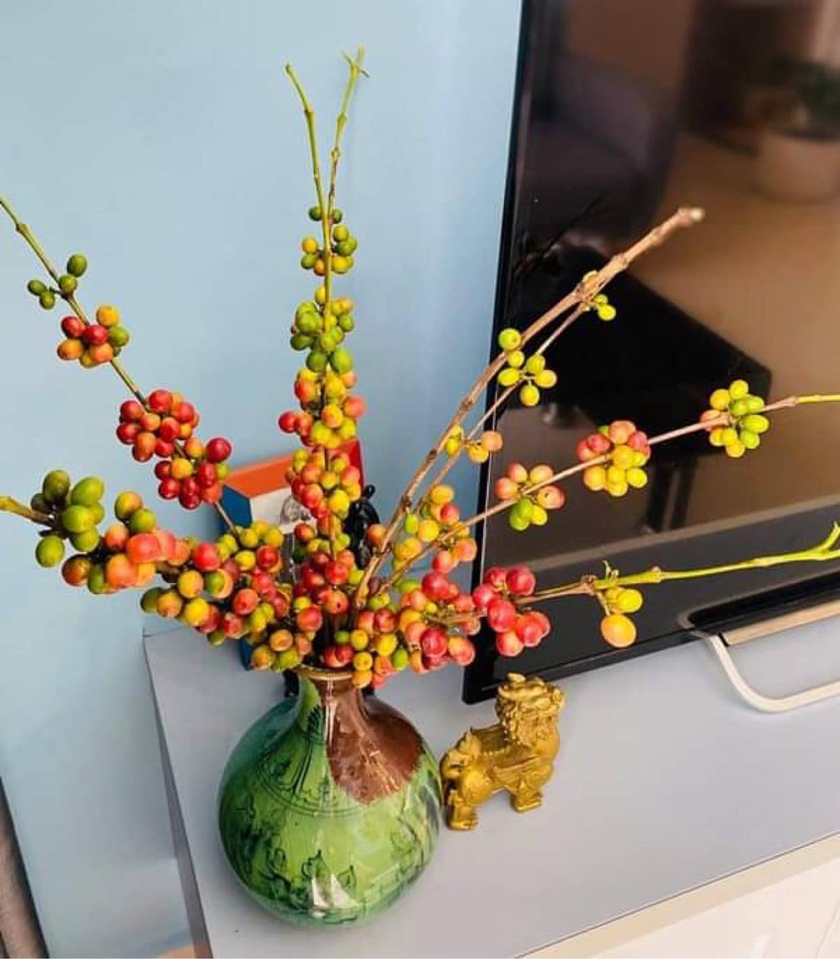 Bạn Thu (Ba Đình, Hà Nội) cho biết, đây là lần đầu tiên mua cành cà phê tươi về cắm bởi thấy lạ và độc đáo. Dịp Tết vừa qua, Thu cũng thấy cà phê tươi được rao bán nhưng giá rất cao, khoảng 150.000 đồng/10 cành, chưa tính phí giao hàng. Ảnh: Facebook