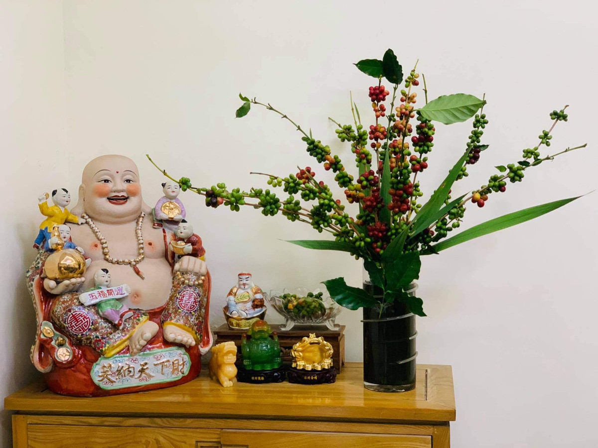 Cà phê có mùi thơm nhẹ, cắm xong quả chín người chơi có thể rang, xay chế biến cà phê tươi để uống. Ảnh: Facebook