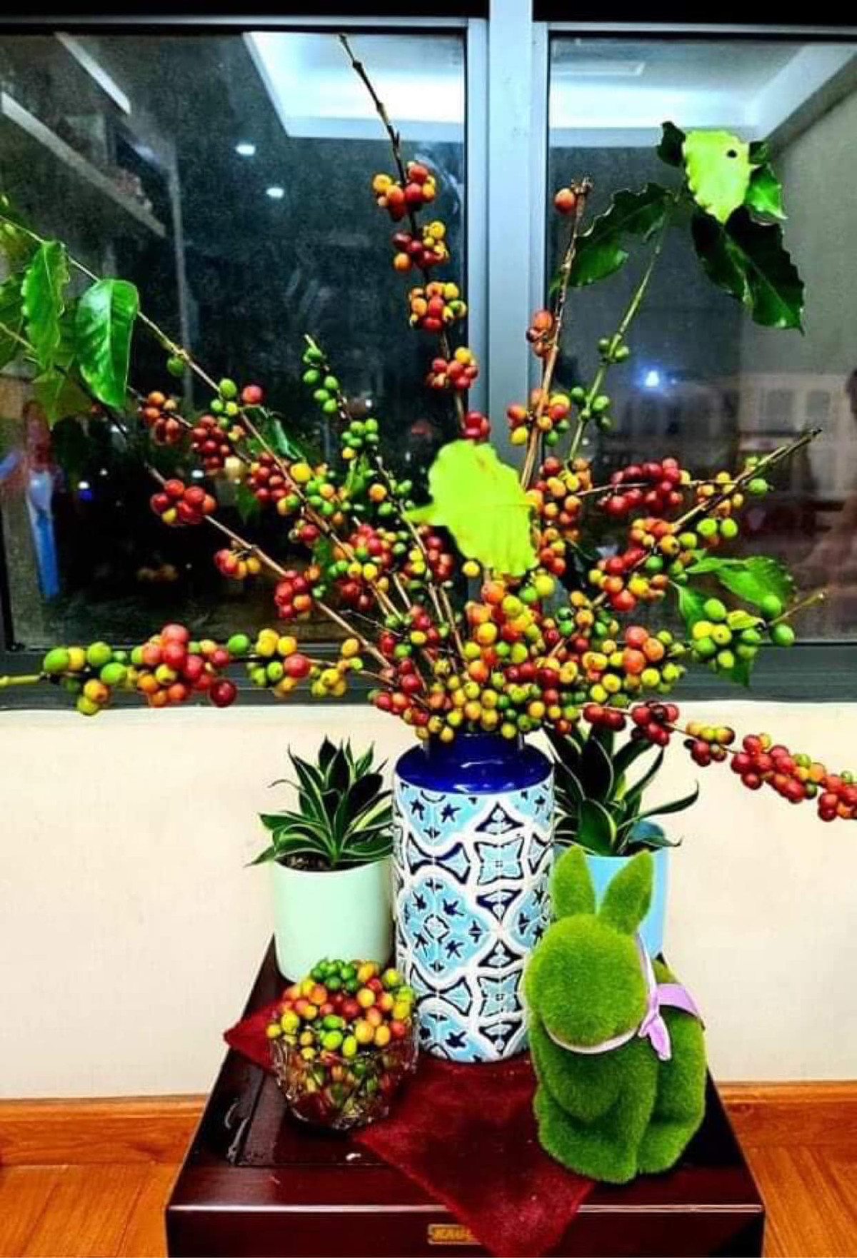 Vừa mới đăng bán cành cà phê, chị Thảo đã nhận được hàng trăm đơn đặt hàng. Phần lớn khách hàng của chị Thảo đặt mua set 10 cành và 20 cành. Ảnh: Facebook