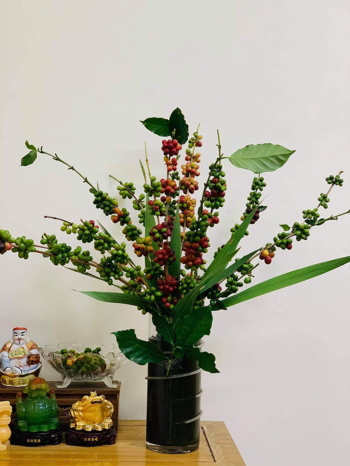 Nếu như vào dịp Trung thu vừa qua, cành hồng giòn, cành táo được nhiều chị em săn lùng thì gần đây cành cà phê tươi lại trở thành mặt hàng hút khách. Ảnh: Facebook