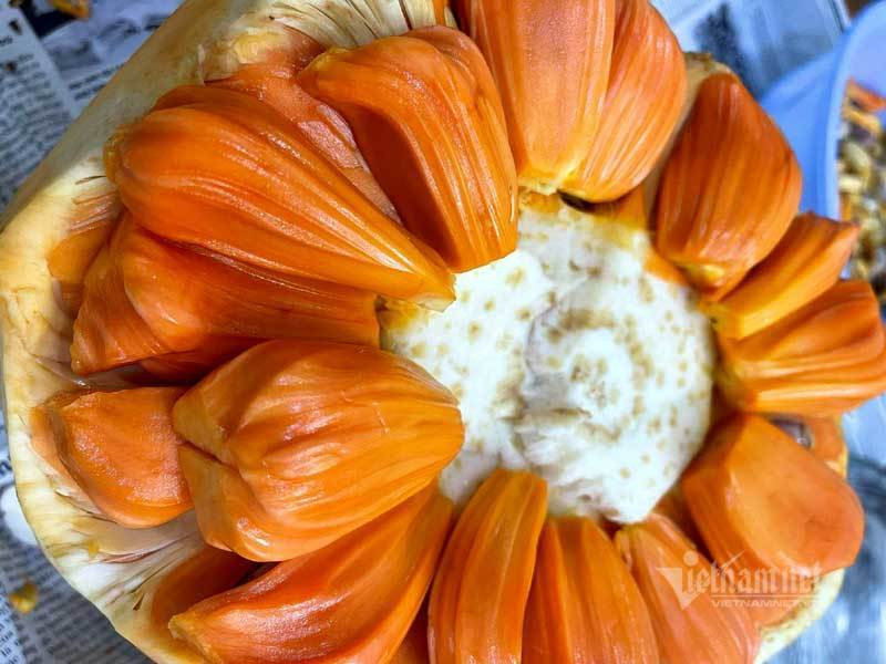 Đặc điểm nổi bật của mít đỏ là múi đỏ au, cùi dày, thơm phức. Ảnh: Vietnamnet