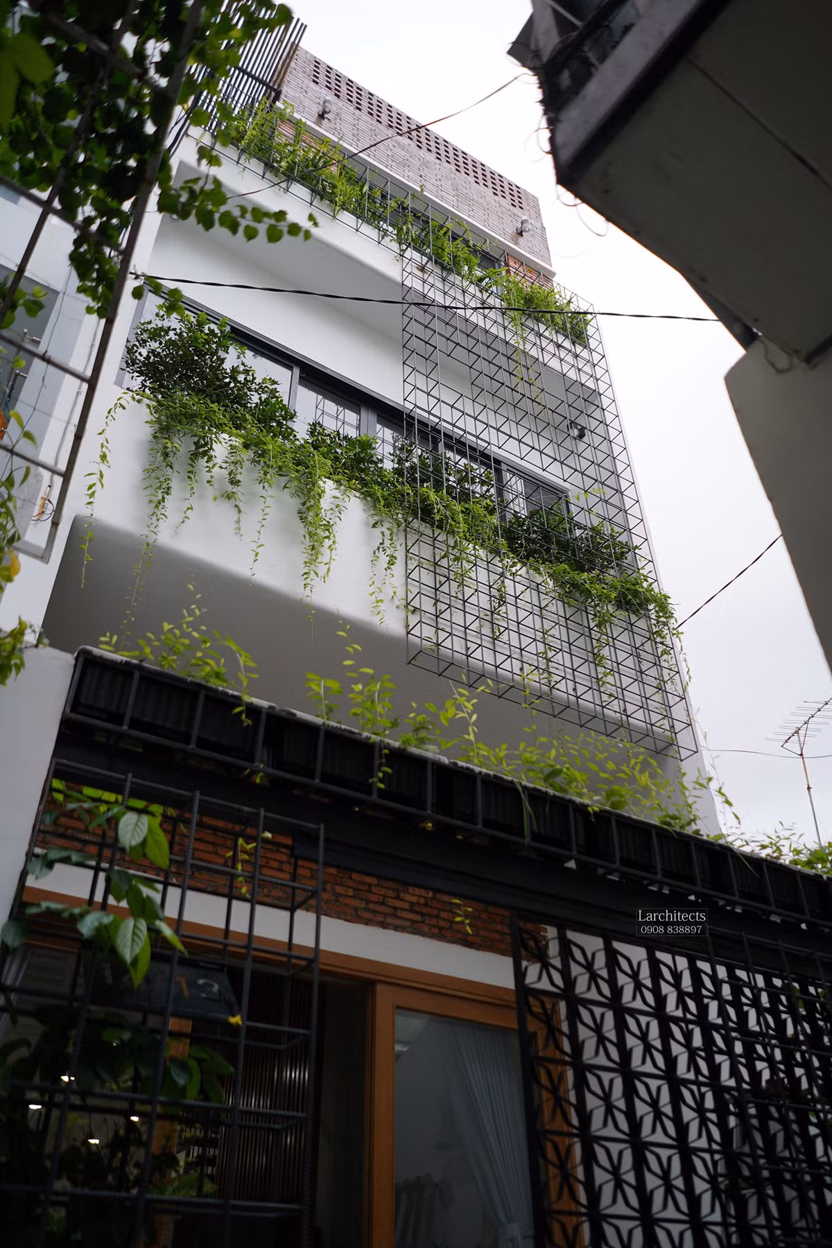 Cây xanh ở phương ngang lẫn phương dọc trở thành bức rèm xanh cho căn nhà đồng thời giúp mặt tiền ngôi nhà 3 tầng thêm nổi bật.
