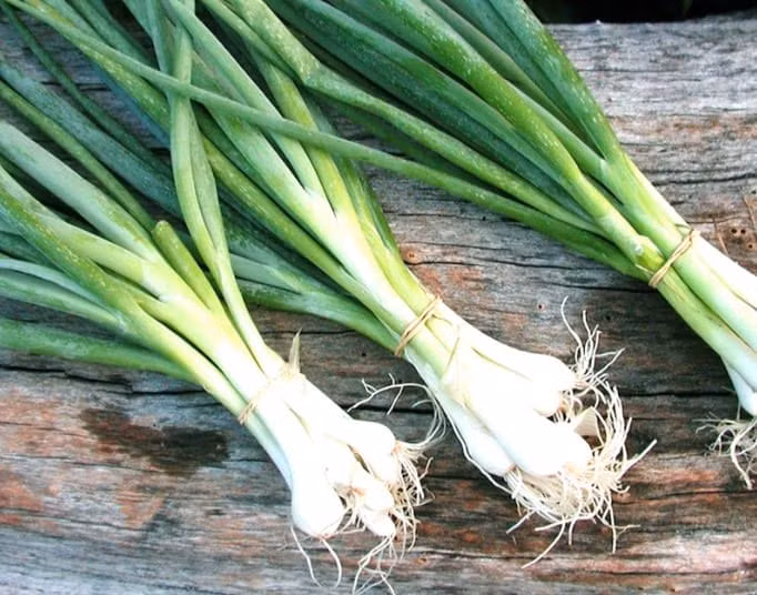 Trong khi đó, hành lá ở Trung Quốc có giá chỉ 5 NDT (khoảng gần 18.000 đồng) cho 1 kg. Ảnh: Internet