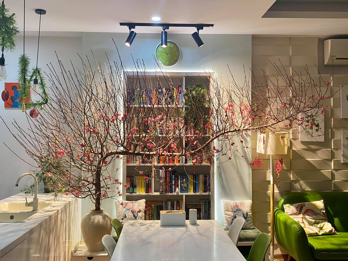 Dáng huyền theo ý nghĩa tự nhiên, cây thường sống trong điều kiện khí hậu khắc nghiệt như sườn núi, vách đá... nhưng vẫn có thể sống. Ảnh: Facebook