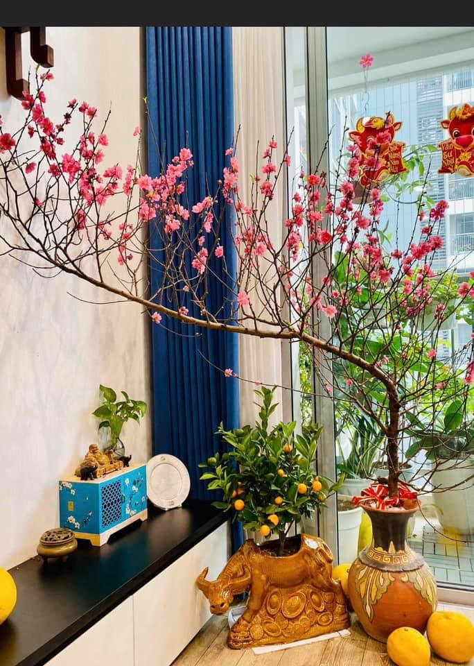Những cành đào dáng huyền nhỏ có thể bày trong không gian nhà chung cư với diện tích hạn chế. Ảnh: Facebook