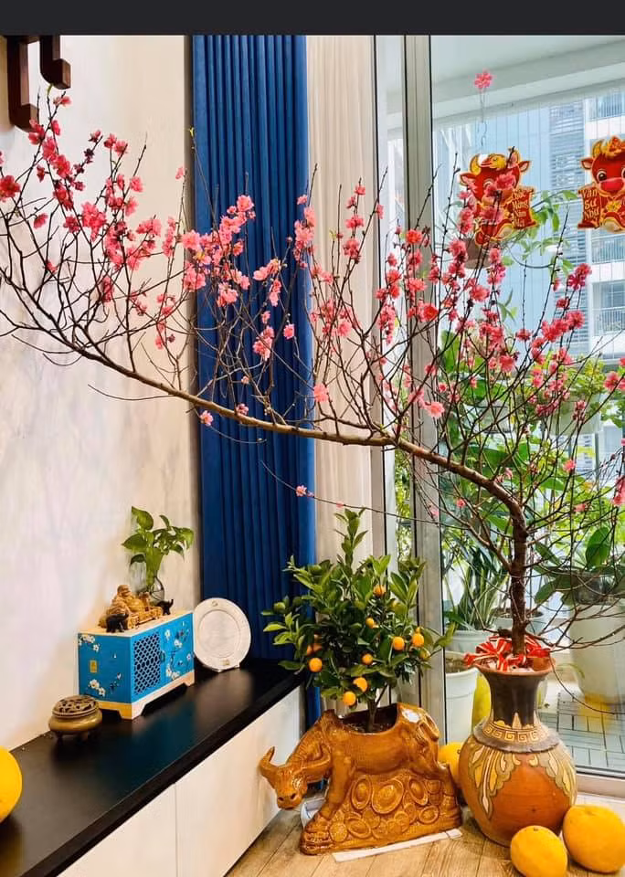 Những cành đào dáng huyền nhỏ có thể bày trong không gian nhà chung cư với diện tích hạn chế. Ảnh: Facebook