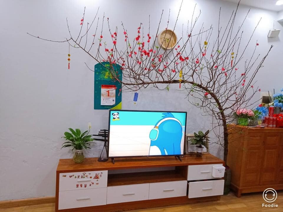 Để có dáng huyền, khi trồng phải ghép mắt đào sau đó uốn theo dáng huyền mình muốn. Ảnh: Facebook