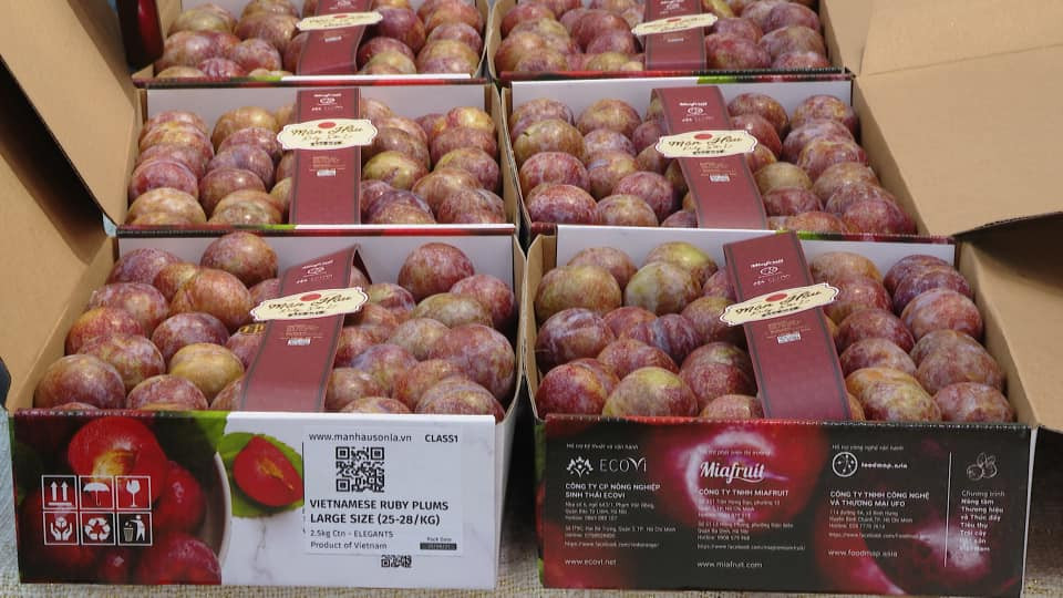 Man Hau Ruby xuat Singapore va Malaysia, hoang than quoc thich lung mua thuong thuc-Hinh-2