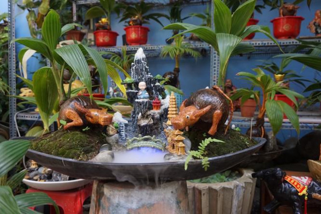 Chưa đầy một tháng nữa là đến Tết Nguyên đán Tân Sửu 2021, hiện các nhà vườn đang tất bật chuẩn bị cây cảnh, bonsai cung cấp cho thị trường. Trong số đó, bonsai dừa là sản phẩm đang được khách hàng rất ưa chuộng. Ảnh: Tiền phong.