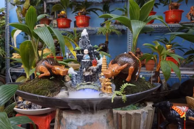 Dua kho hoa bonsai hinh trau hut khach Tet Tan suu 2021