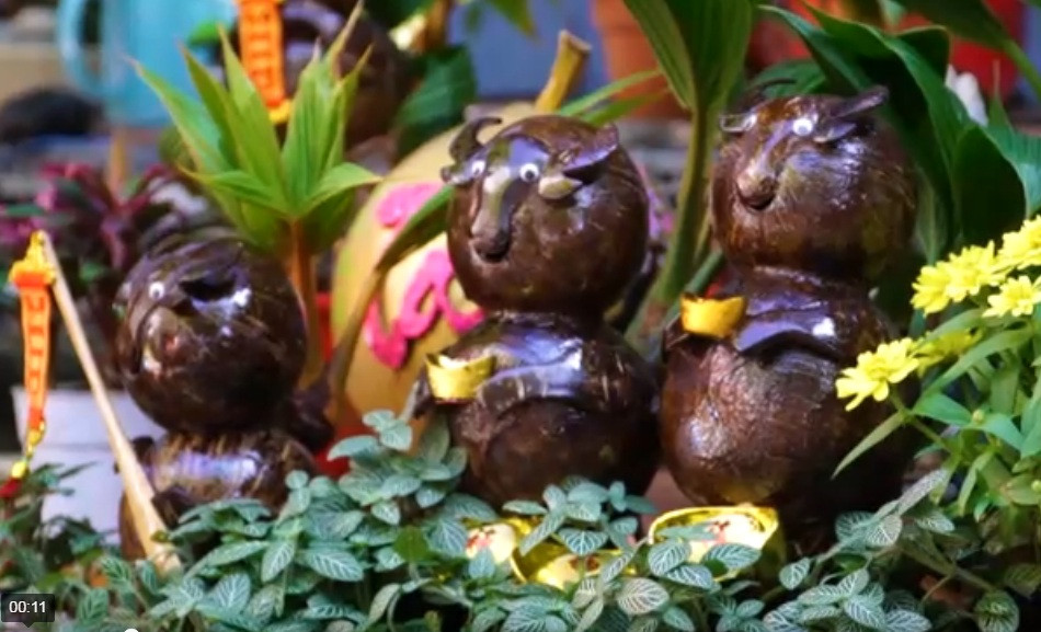 Những cây bonsai dừa hình con trâu trong vườn của anh Đinh Ngọc Hiếu (TP Thủ Đức, TP.HCM) có giá từ 600.000 đến 2 triệu đồng. Ảnh: Zing.