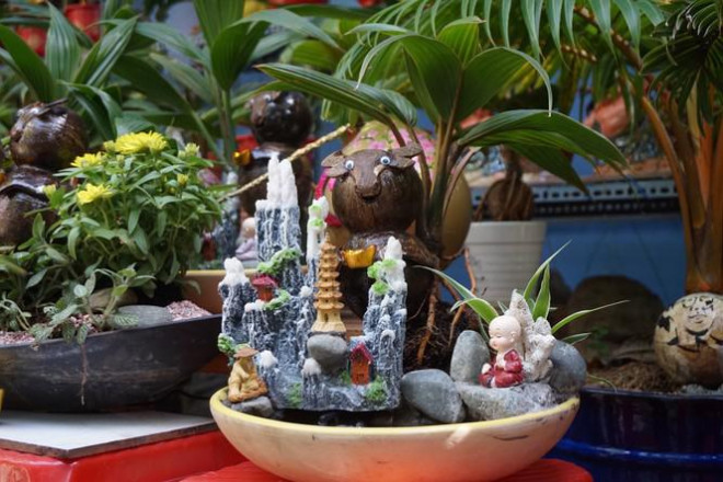 Qua bàn tay khéo léo của nghệ nhân, các bonsai dùa trở nên lạ mắt, độc đáo. Ảnh: Tiền phong.