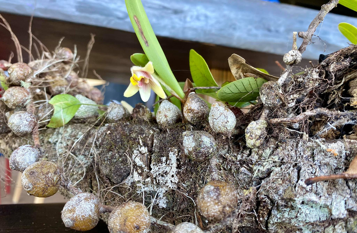 Bài chia sẻ nửa đùa nửa thật của cặp đôi thu hút sự chú ý của fan và nhận về nhiều bình luận khen hài hước.