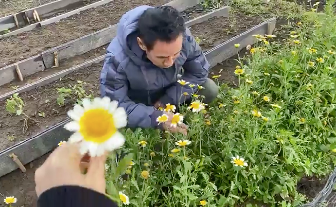 Vợ chồng Lý Hải còn trồng thêm nhiều loại hoa.