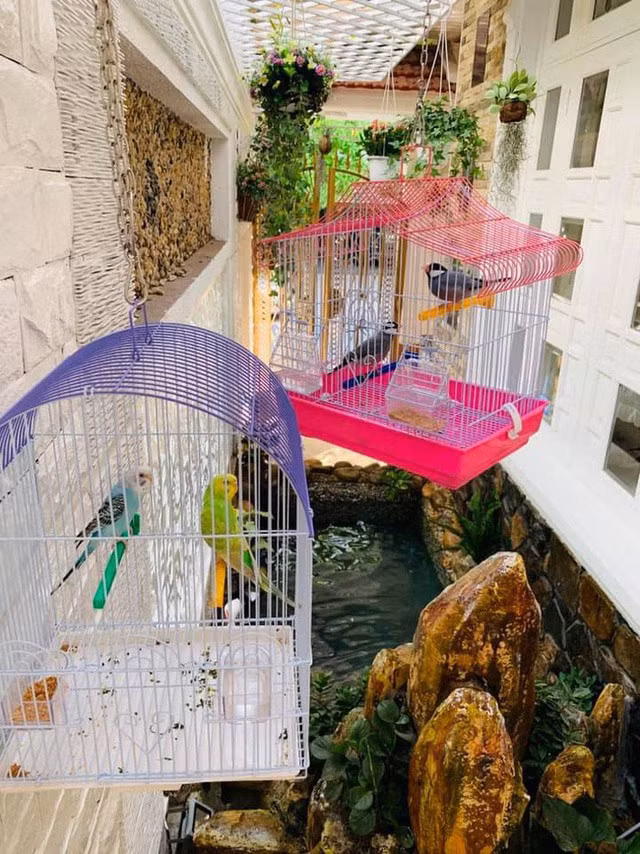 Trong nhà còn có hồ cá và không gian để Vy Oanh nuôi chim. Ảnh: Lao động