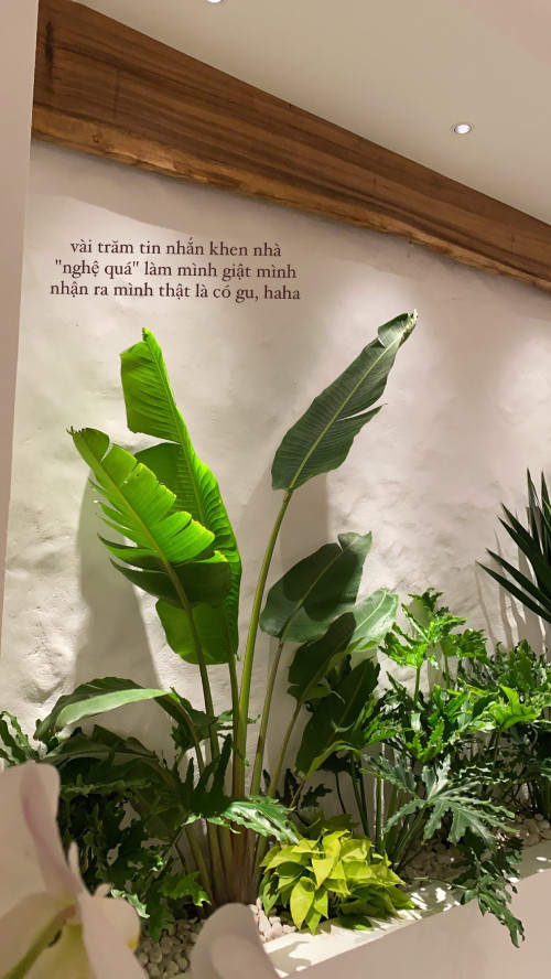 Phía sau bộ sofa là khoảng đất để trồng cây cảnh.