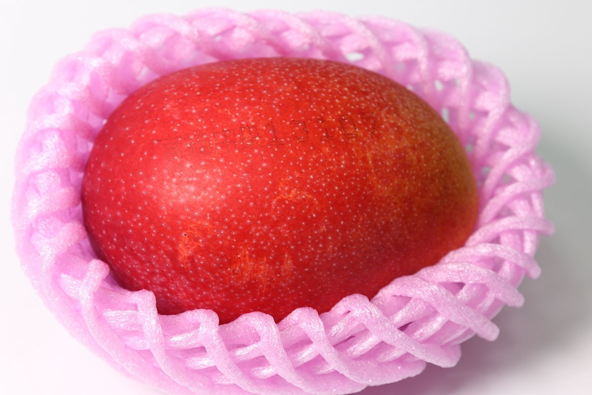 Khác với xoài bình thường, xoài Miyazaki (Nhật Bản) có giá bán trung bình 50 USD (1,15 triệu đồng)/quả. Năm 2019, 2 quả xoài được bán đấu giá tại một khu chợ ở Nhật Bản với giá 500.000 yên (104 triệu đồng) khiến nhiều người kinh ngạc.