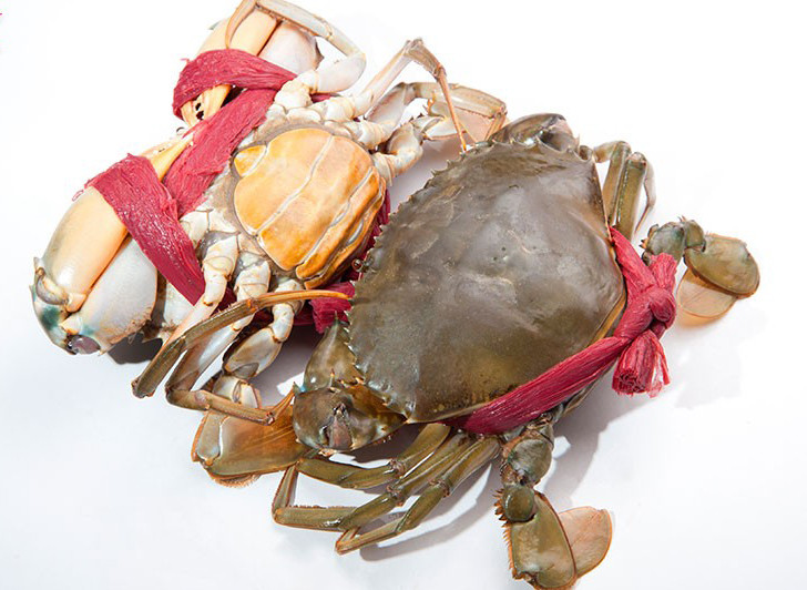  Cua Cà Mau được xem loại cua biển là ngon nhất nước. Thịt cua vừa thơm, vừa ngọt, không quá béo, bùi, chắc nịch. Ảnh: Dacsan4u.