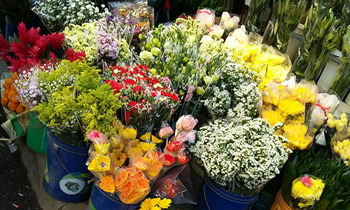 5 mat hang kinh doanh de “hot bac” sau Tet Nguyen dan-Hinh-3